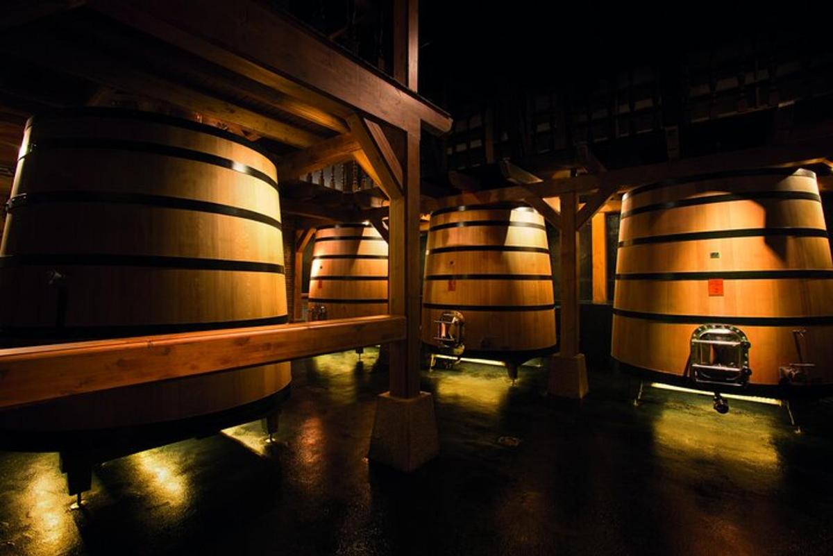 a row of wine barrels in a wine cellar