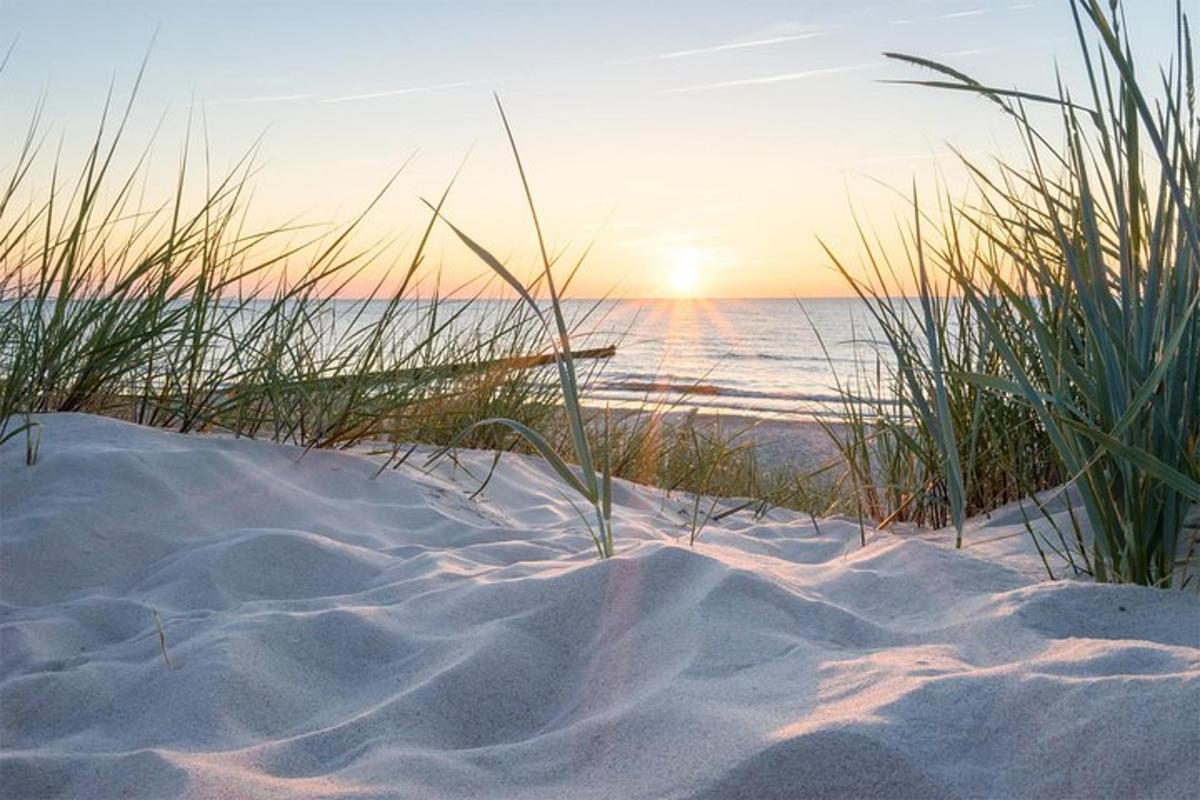 en sandstrand med gress og havet ved solnedgang