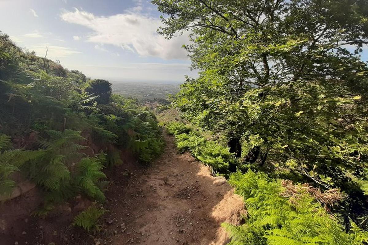 jalan tanah dengan pokok di tepi bukit