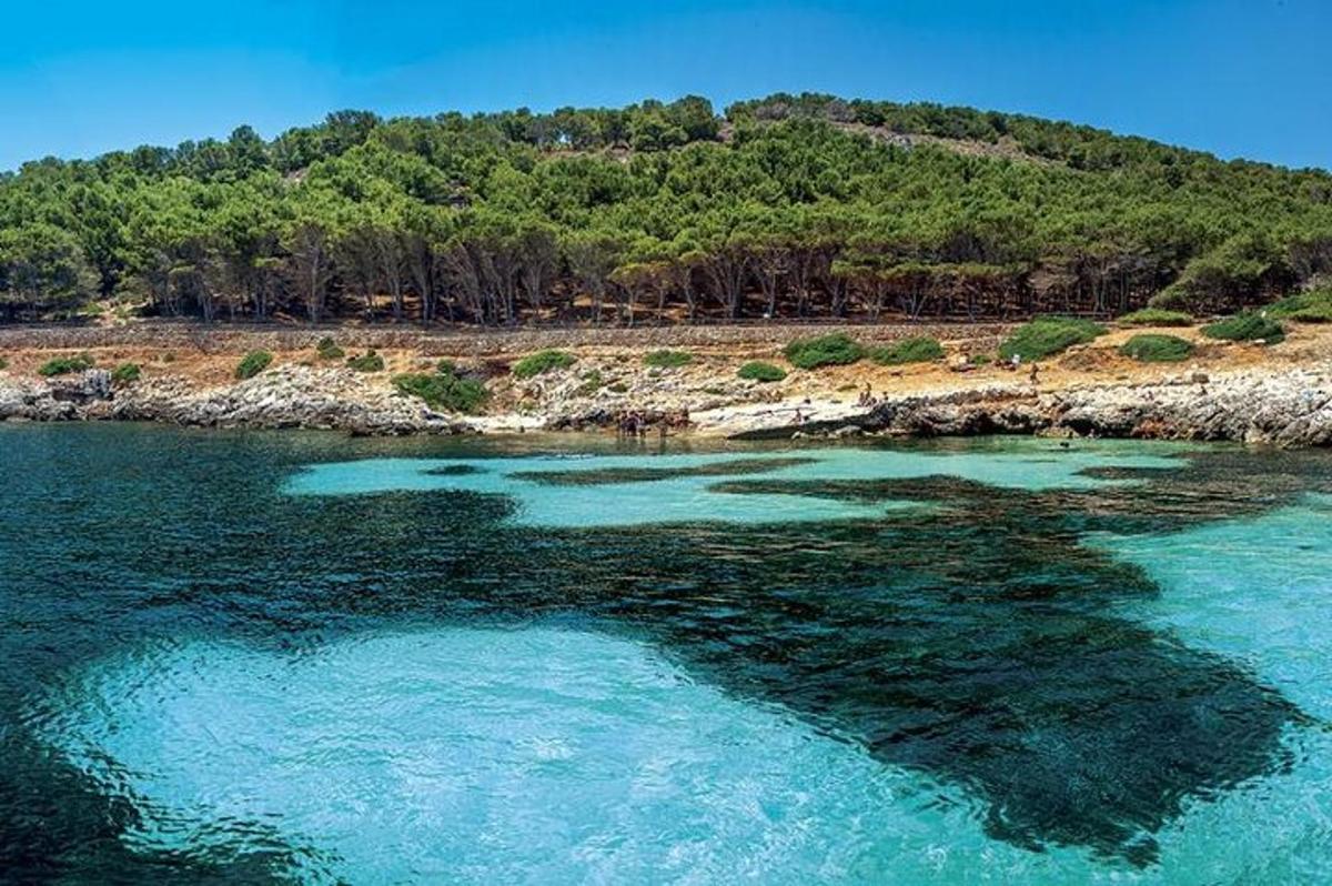 una vista aerea di uno specchio d'acqua