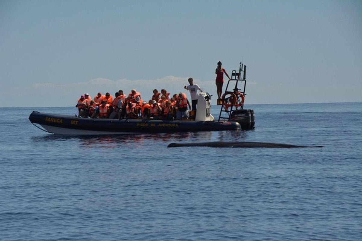 Lankytinos vietos ar pramogos nuotrauka numeris 4