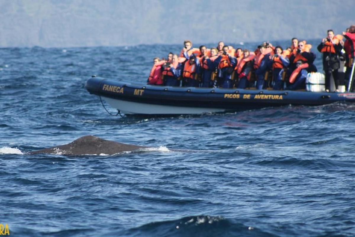 Lankytinos vietos ar pramogos nuotrauka numeris 6