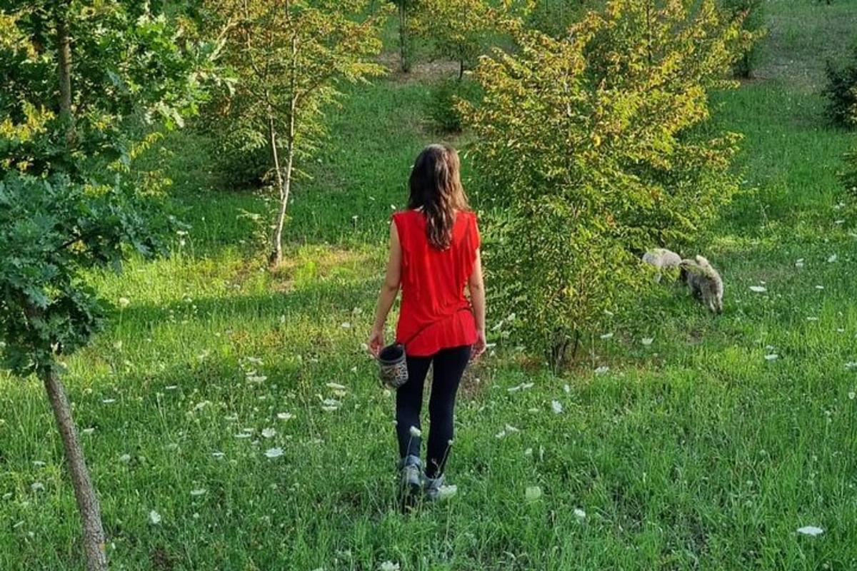 ženska, ki hodi po travnatem polju