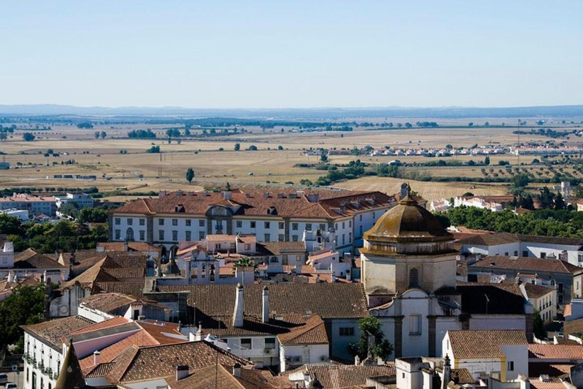 o vedere a unui oraș cu clădiri și acoperișuri