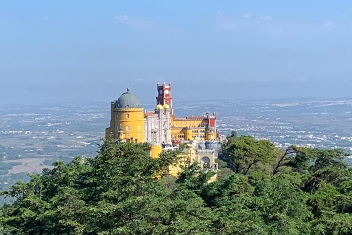 Fotografia 1 a atracției