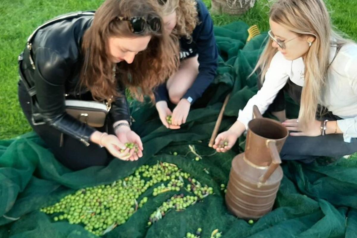 Un grupo de mujeres recogiendo uvas sobre una manta.
