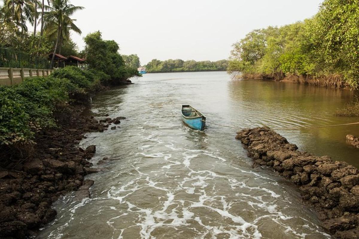 a small blue boat in a river with rocks