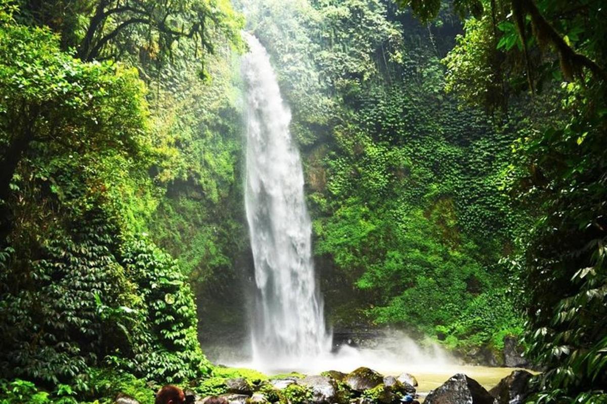 uma cachoeira no meio de uma floresta