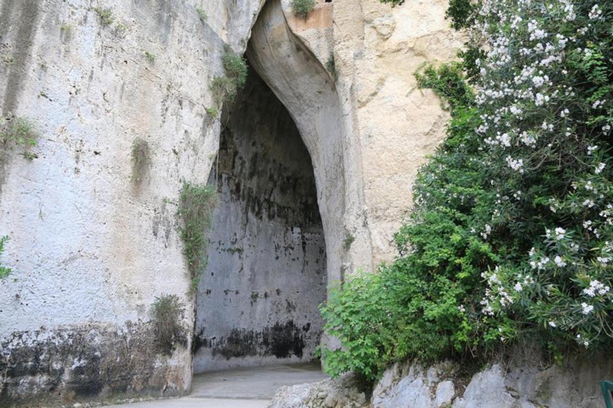 tunel u strani kamenog zida s cvijećem