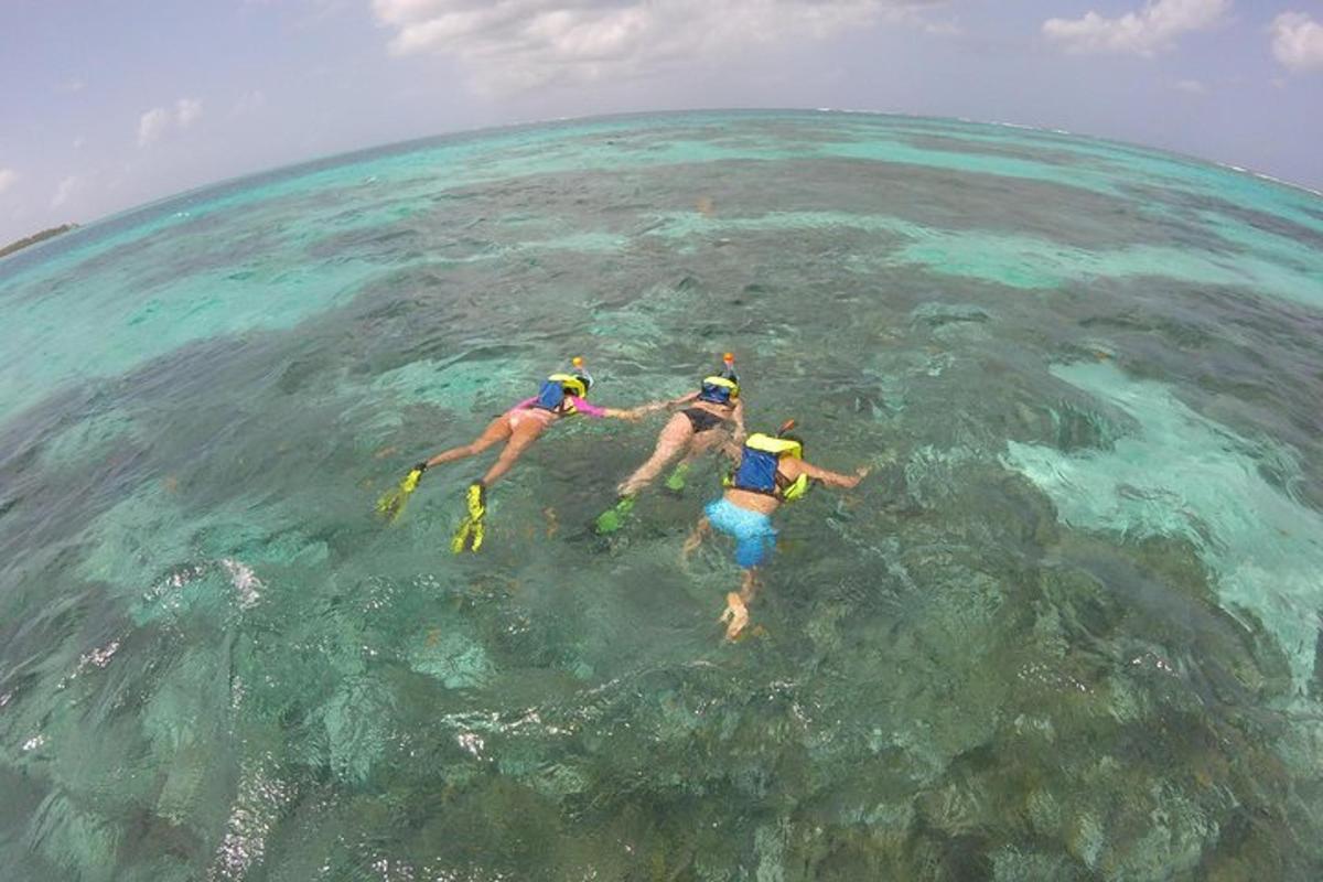 two people swimming in the water in the ocean