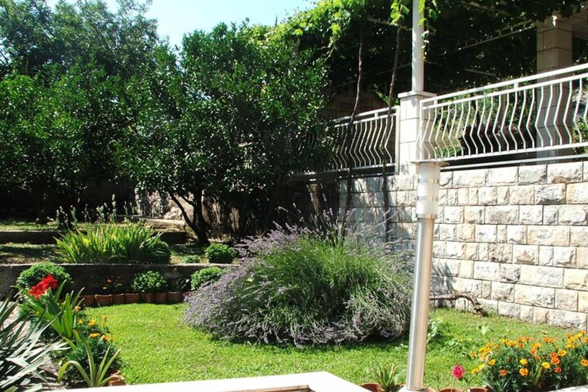 a garden with a stone wall and some plants