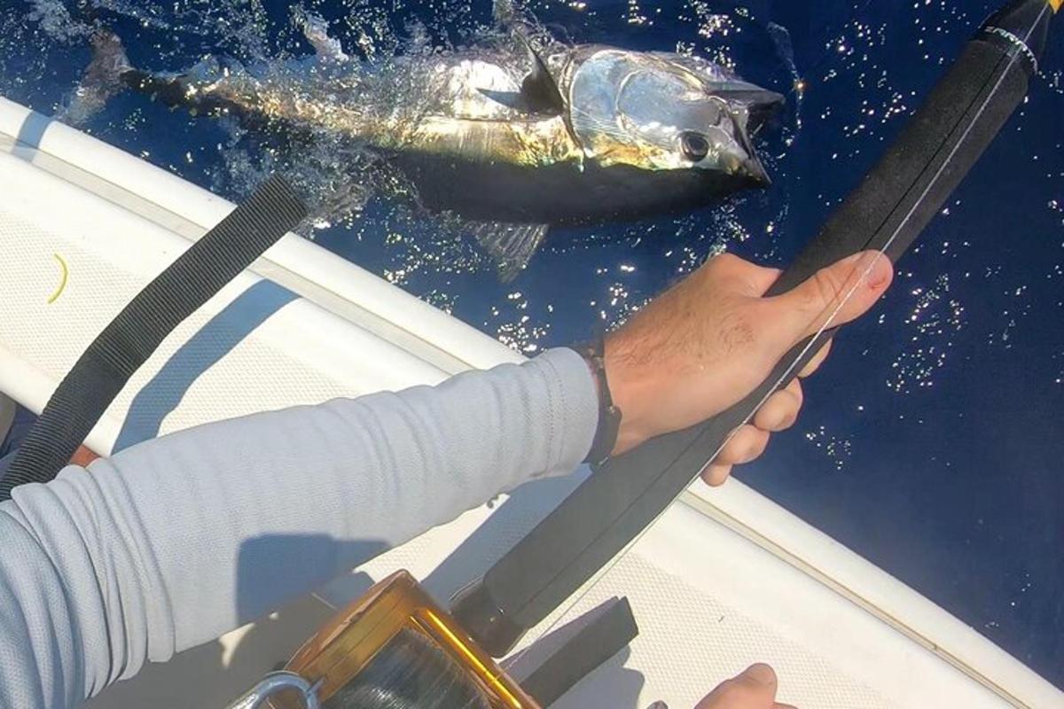 a person holding a fish on the side of a boat