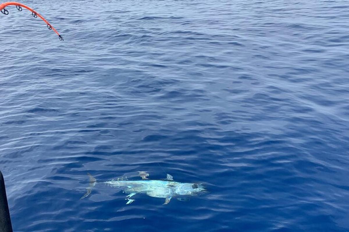 a fish swimming in the water next to a kite