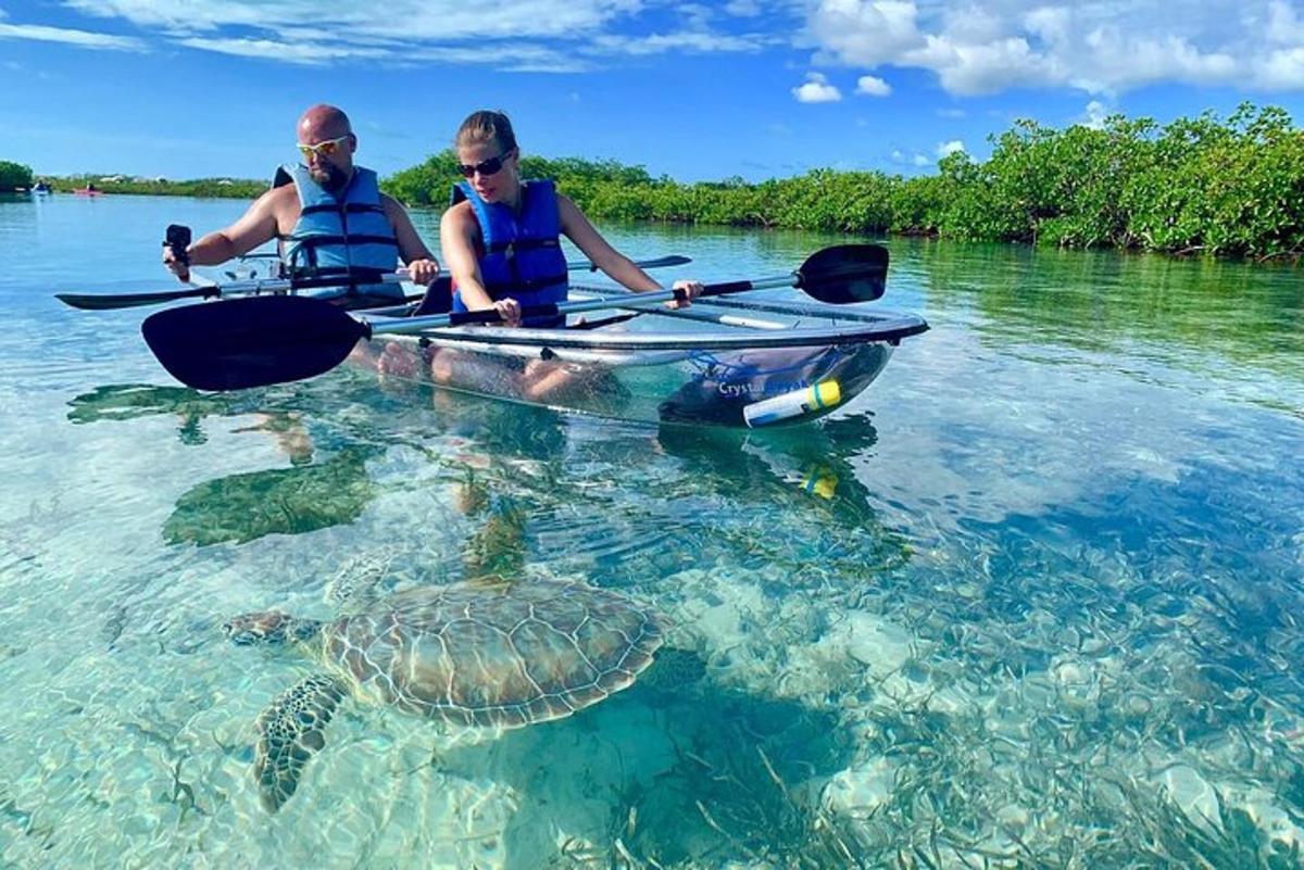 two people in a kayak and a turtle in the water