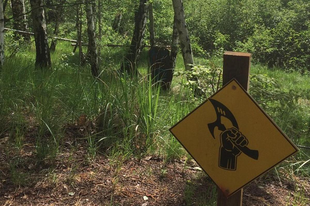 un cartello giallo su un palo di legno in una foresta