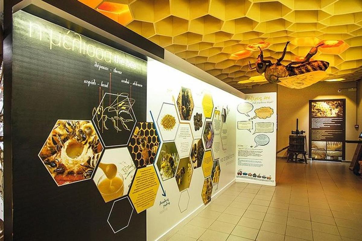 走廊的墙上画着昆虫的图画