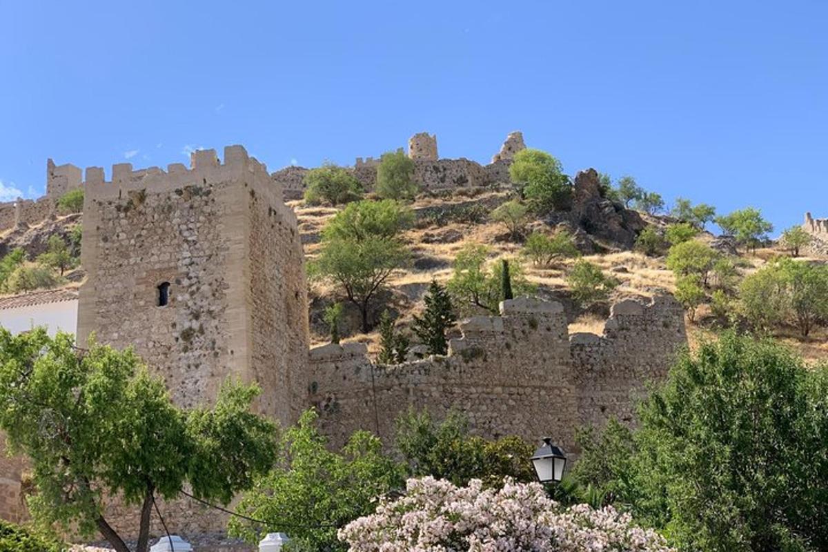 a castle on top of a hill with trees