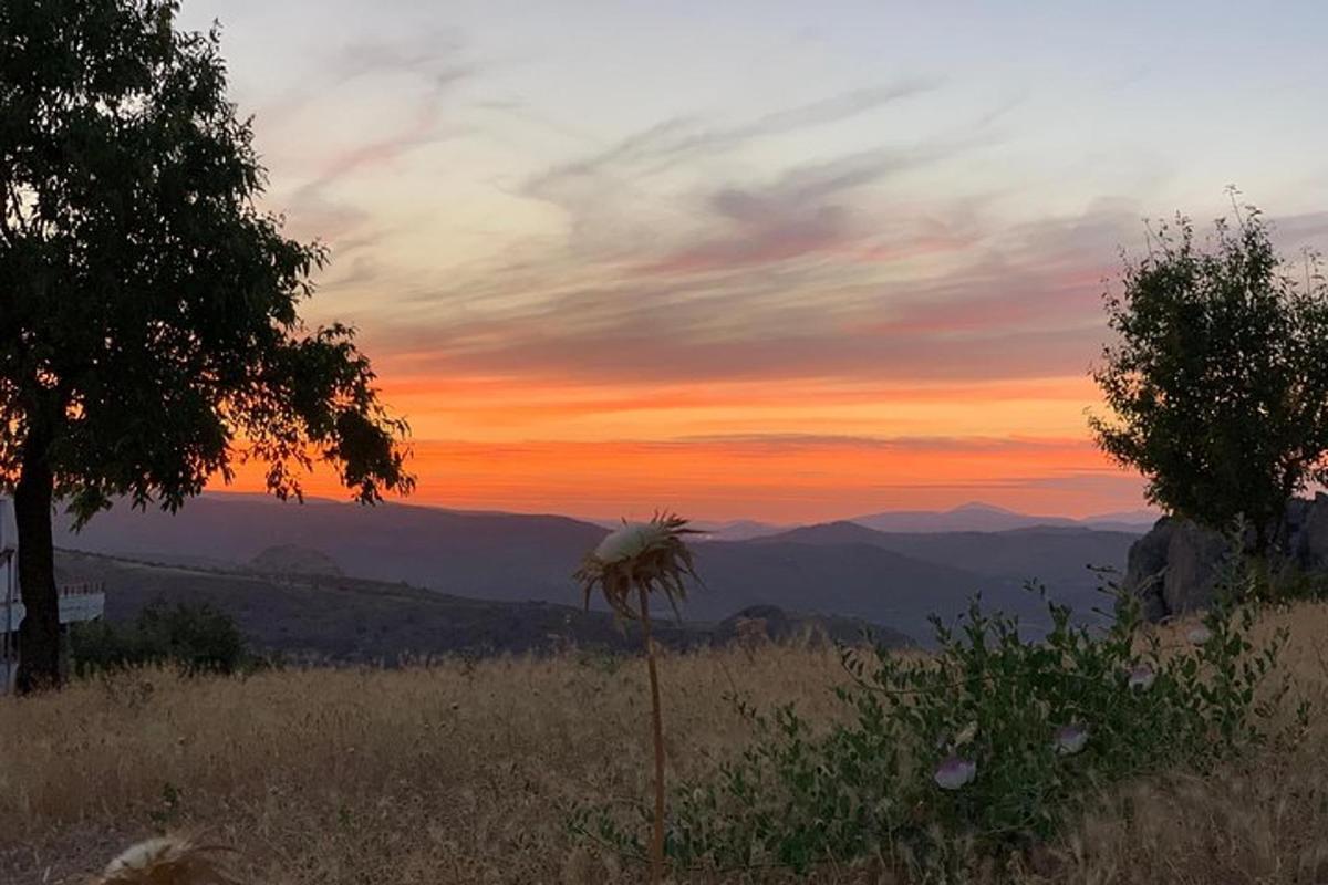 a sunset in the mountains with a flower in a field