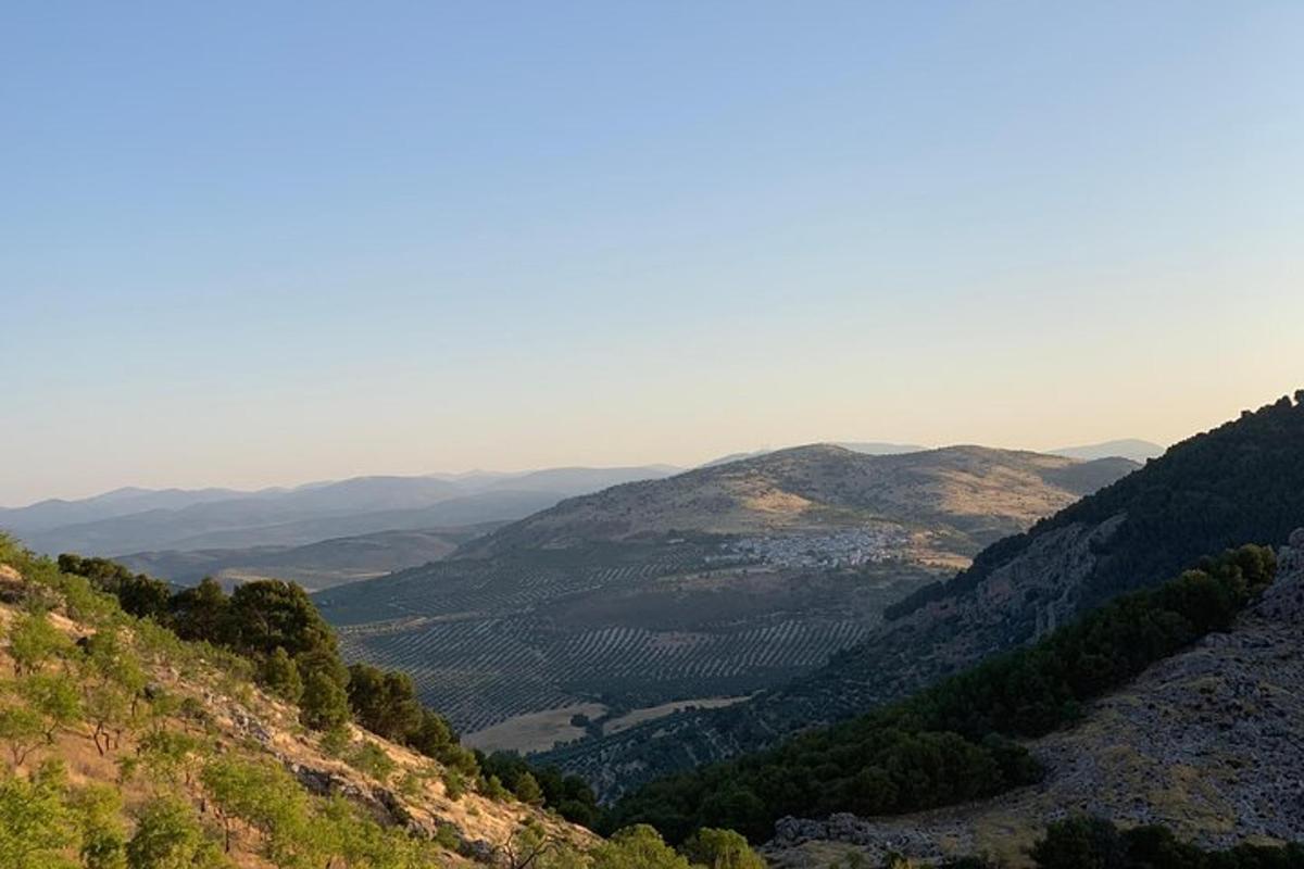 a view of a valley from a mountain