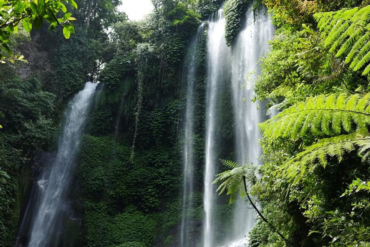 ein Wasserfall mitten im Wald