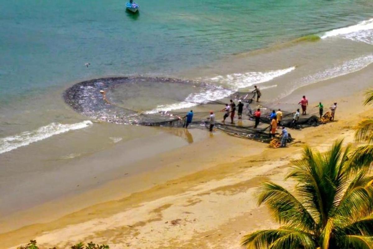 a group of people on a beach near the ocean