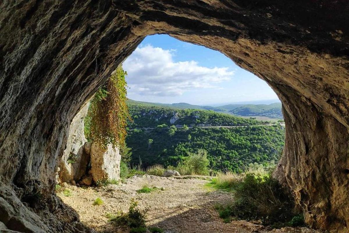 Fotografia da atração 7