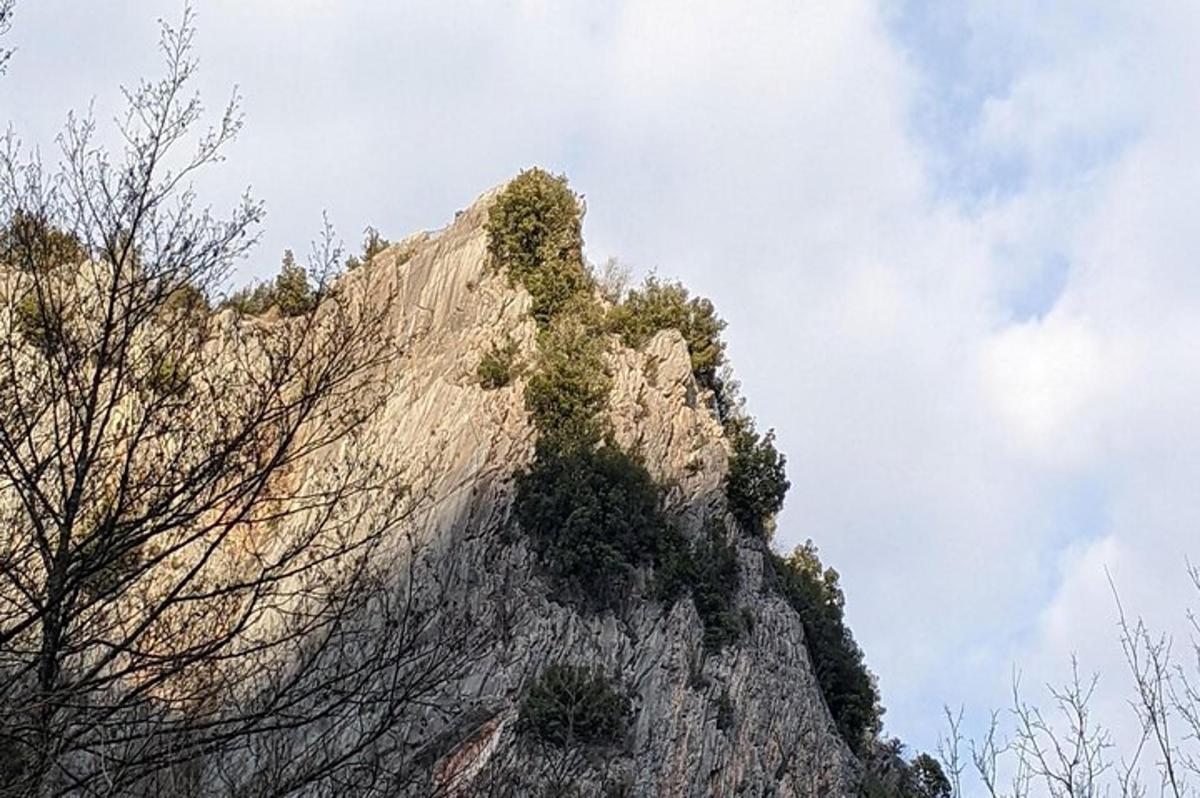 un munte stâncos cu plante deasupra lui
