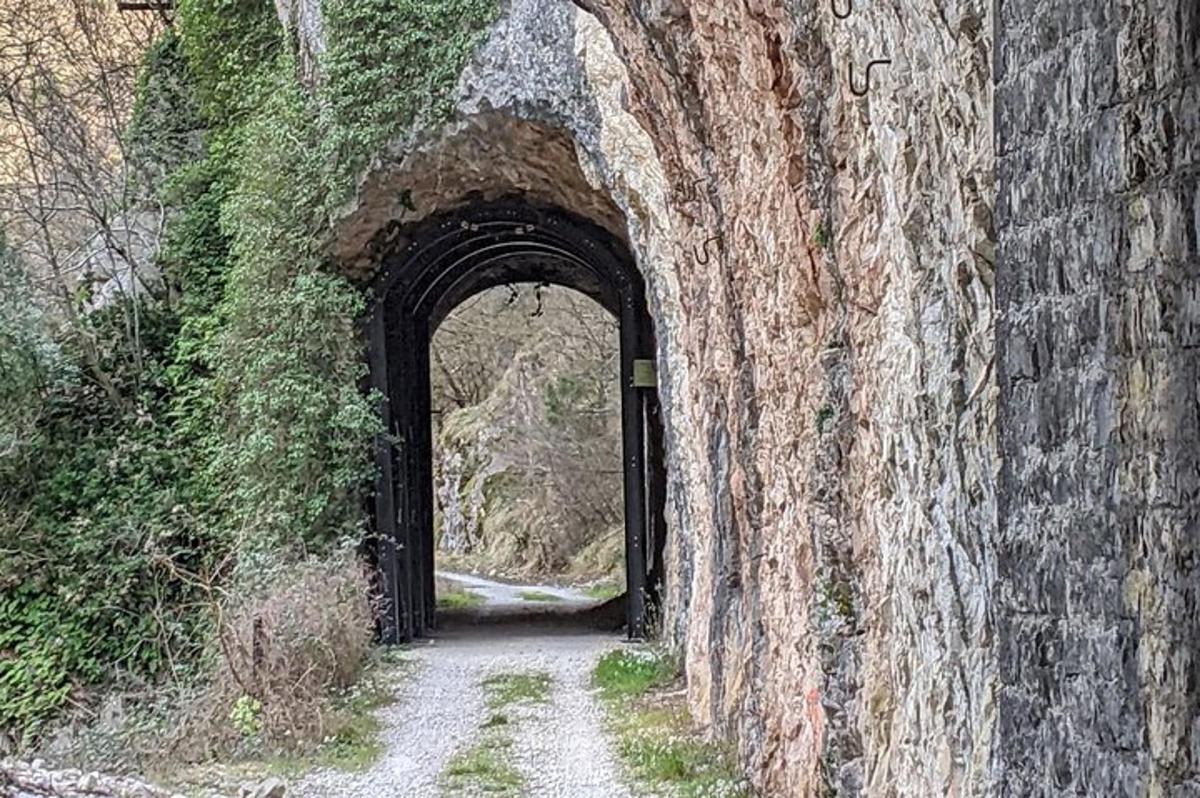 un tunel în lateralul unui zid de cărămidă