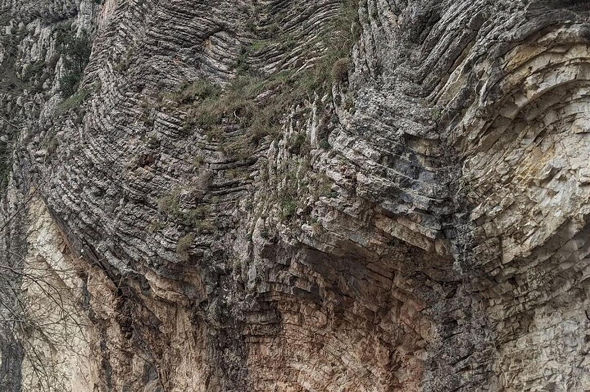 primer pla d'una paret de roca amb herba