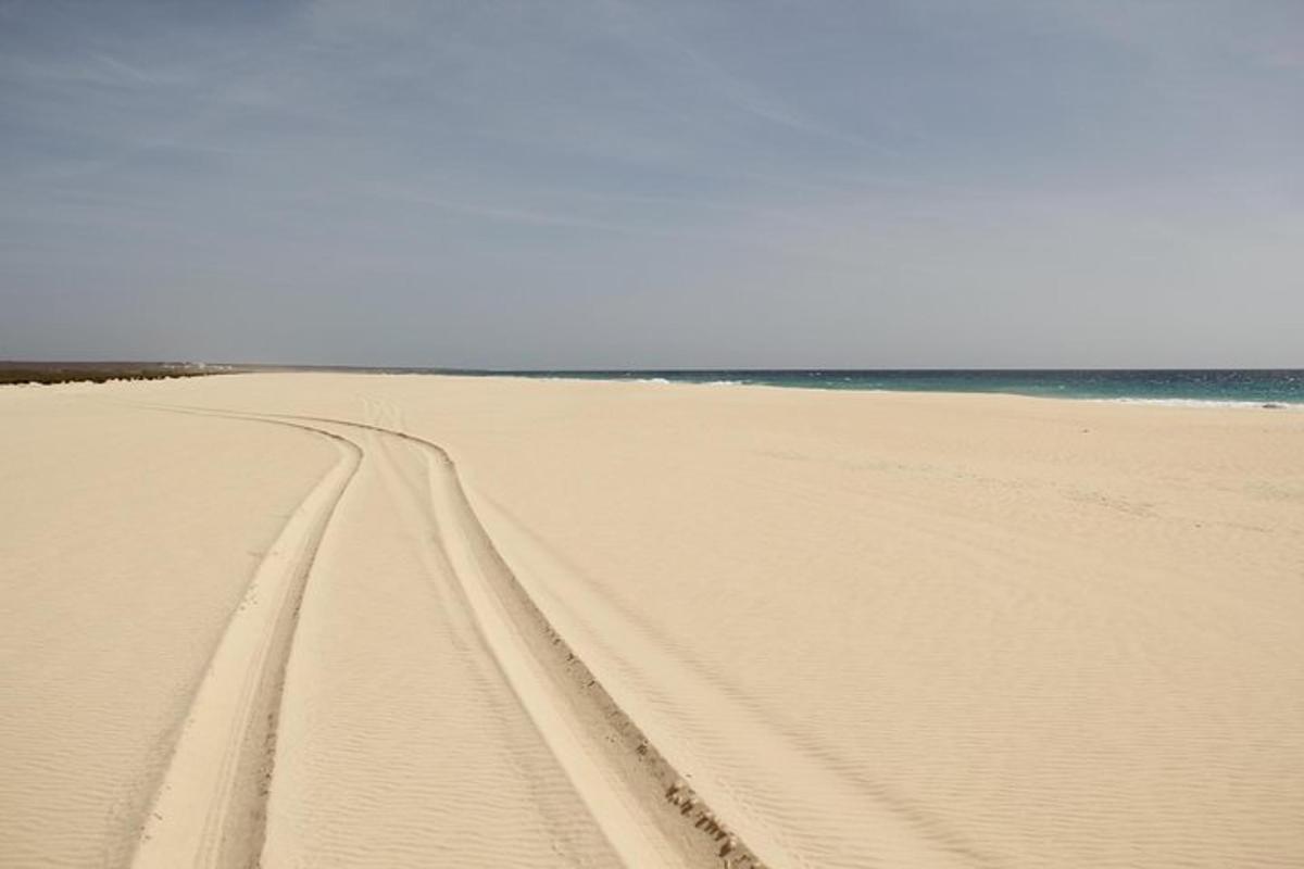 Lankytinos vietos ar pramogos nuotrauka numeris 7