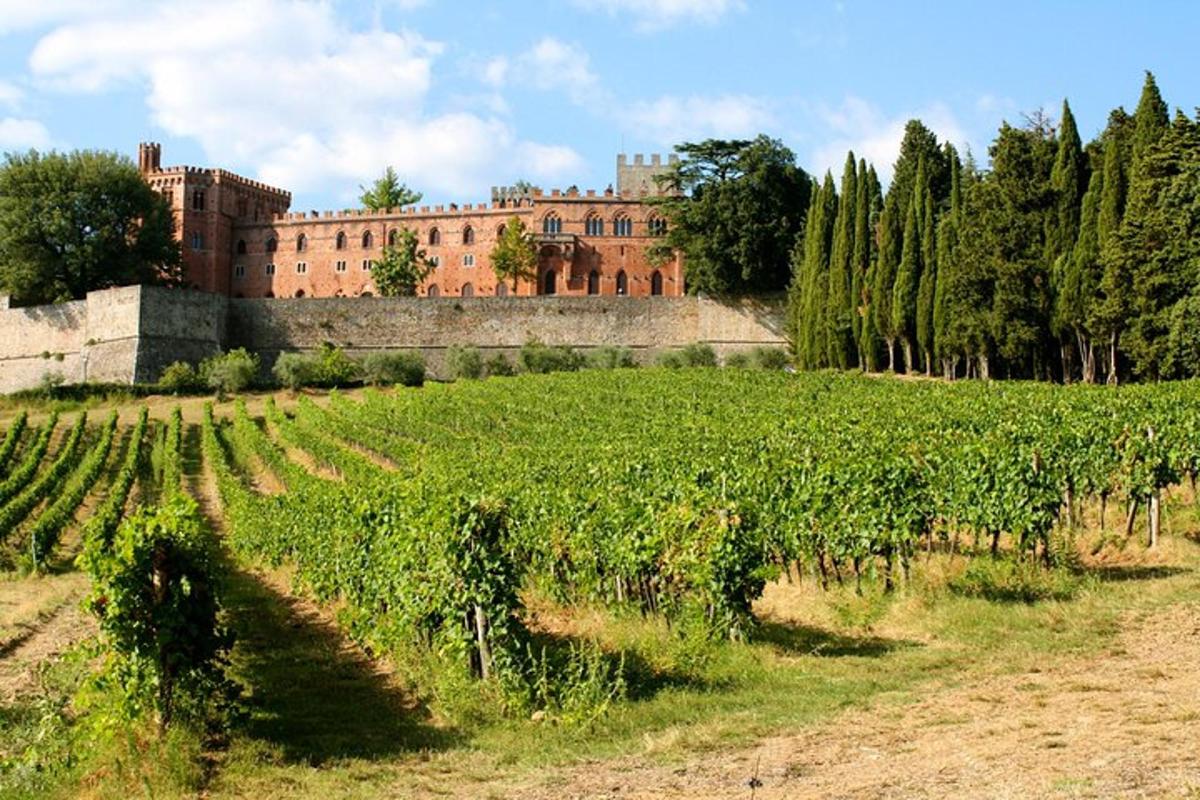 a field of vines with a castle in the background