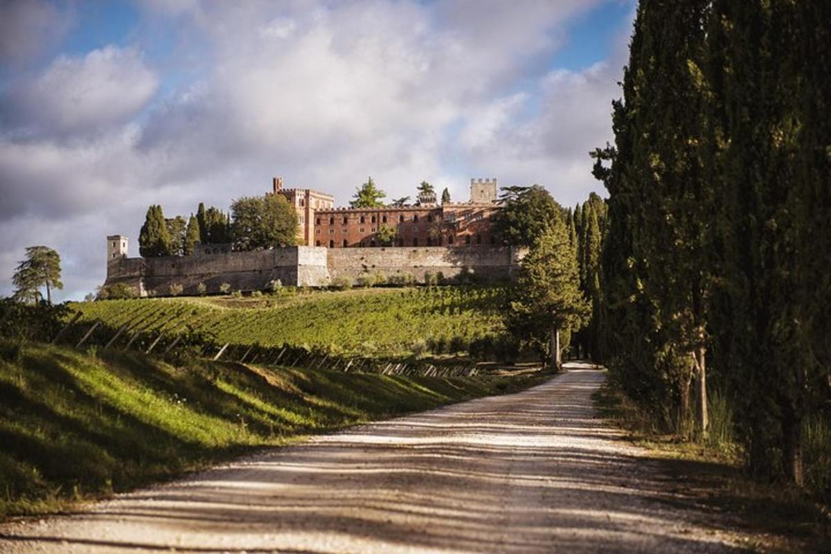 a road with a castle on top of a hill
