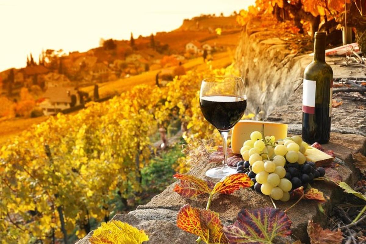 un bicchiere di vino e un grappolo d'uva