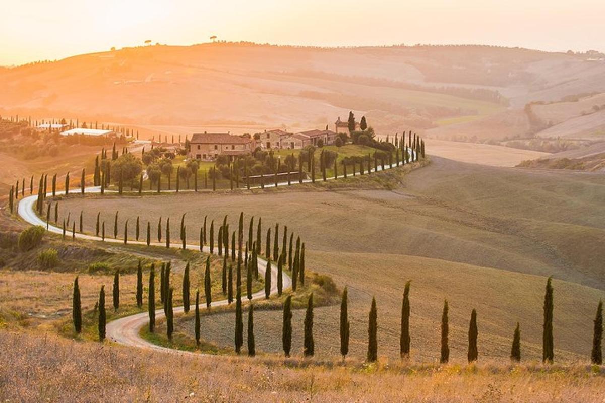 una strada tortuosa con cipressi in un campo