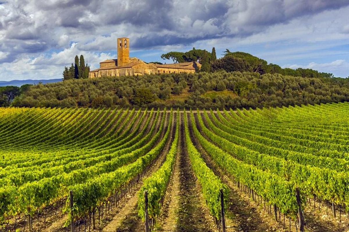 un vigneto con una casa in cima a una collina