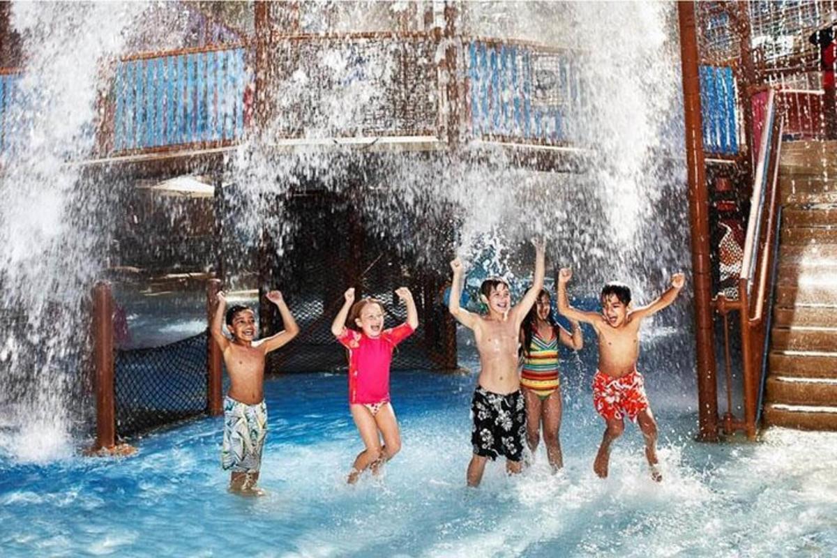 a group of boys jumping into a waterfall at a water park
