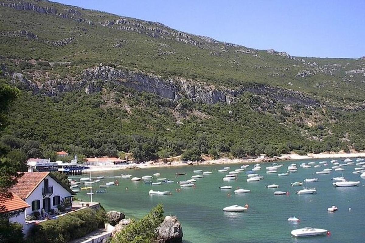 um monte de barcos na água perto de uma montanha