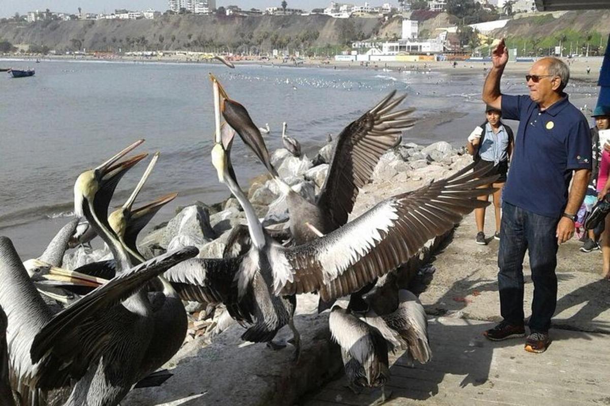 seorang lelaki berdiri di sebelah sekawan burung