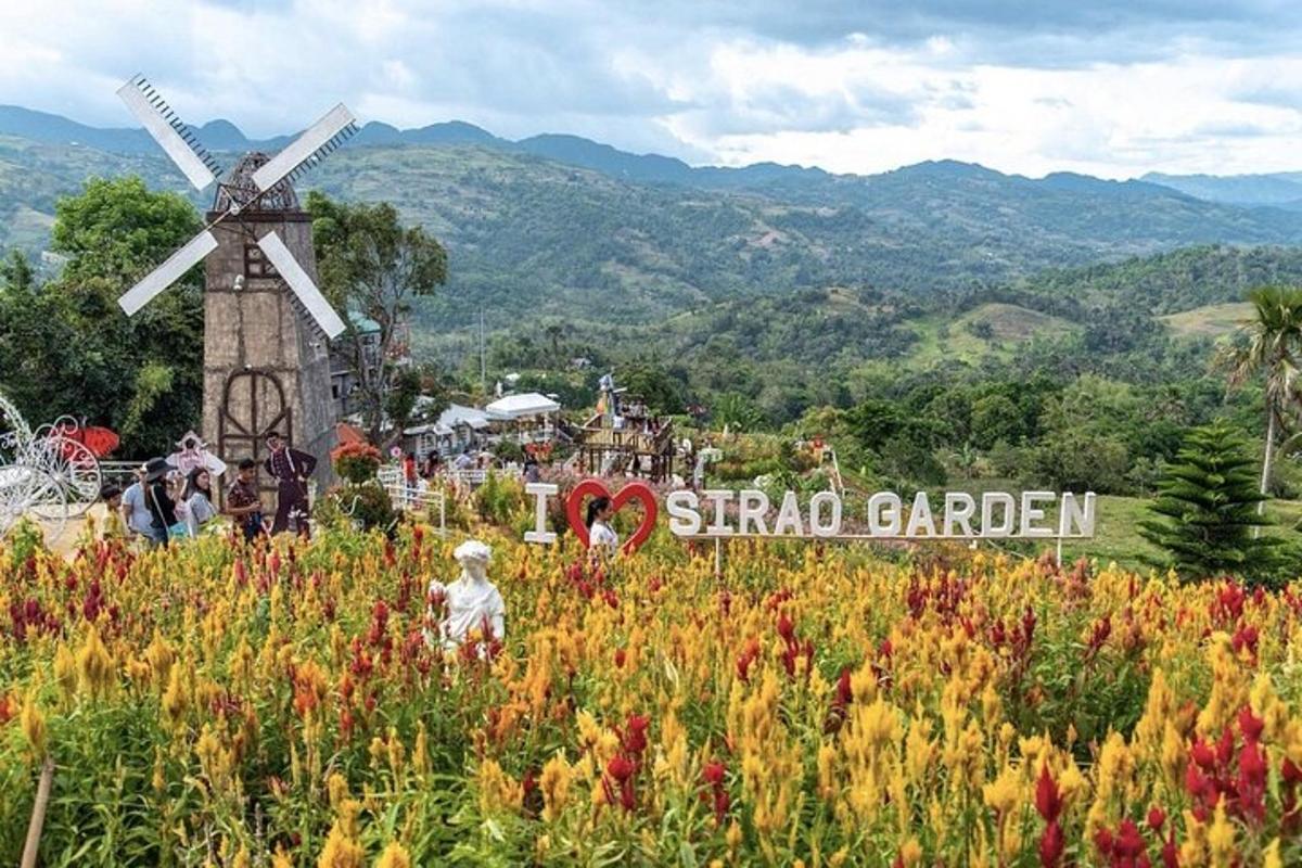 ladang bunga dengan kincir angin di latar belakang