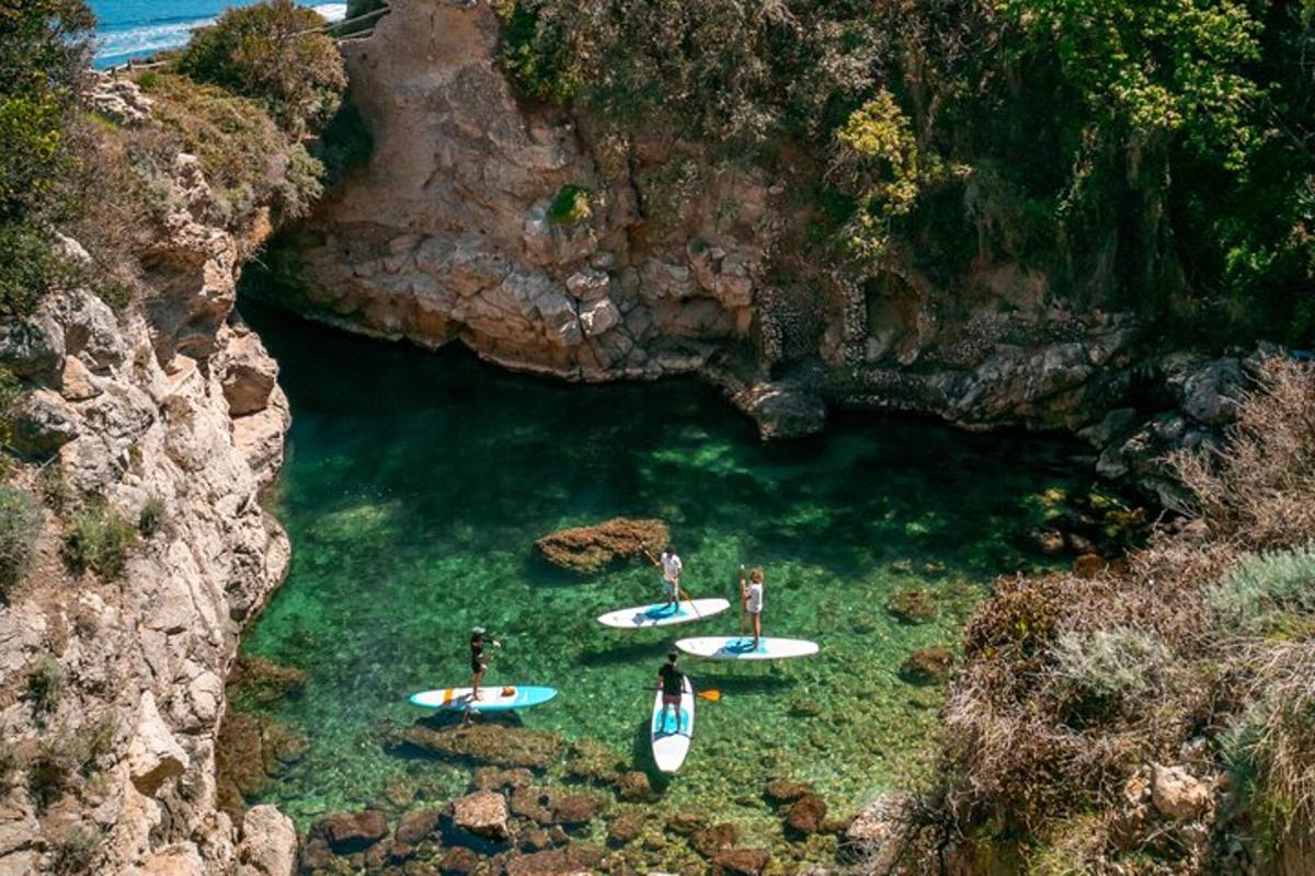 a group of people with surfboards in the water