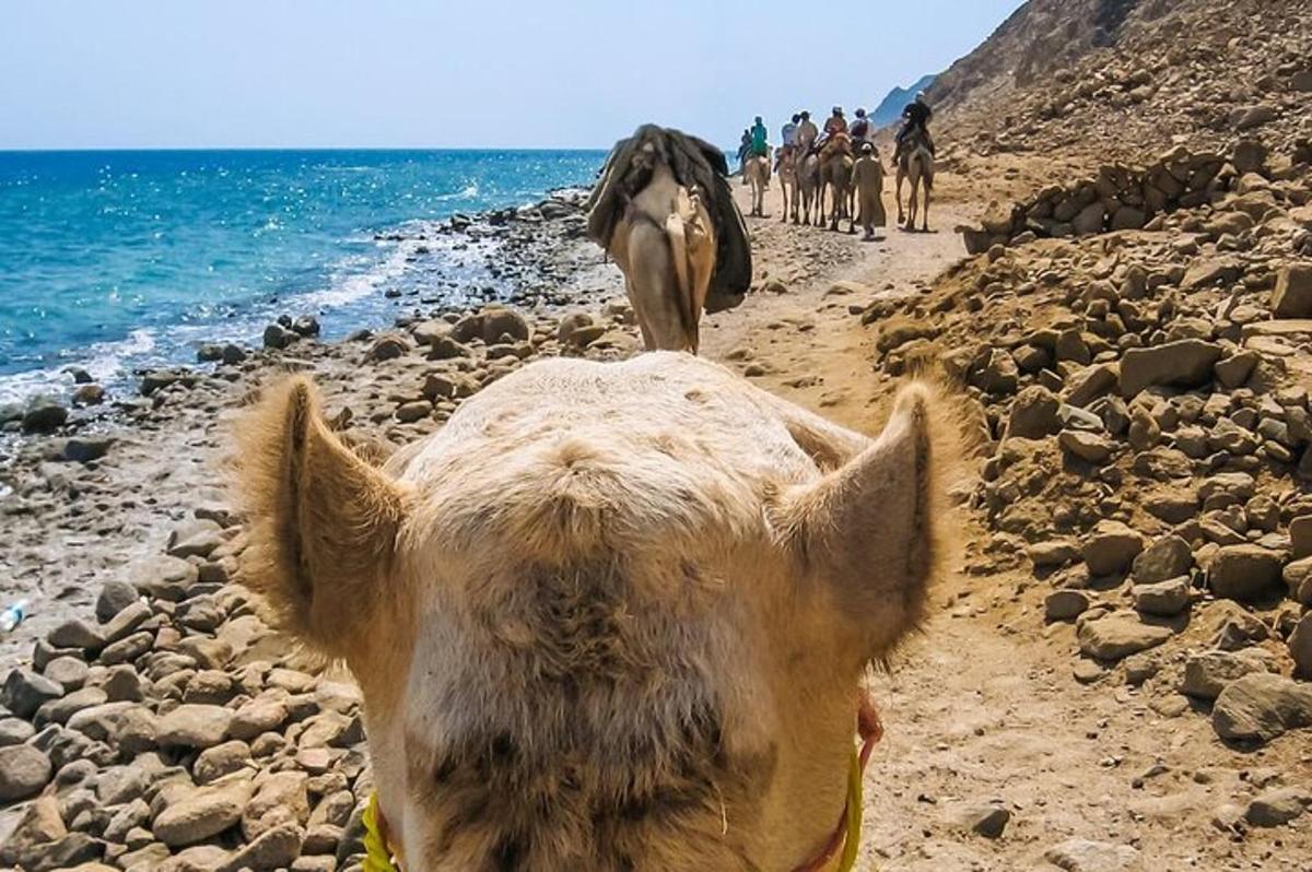 صورة رقم 4 للمعلم السياحي