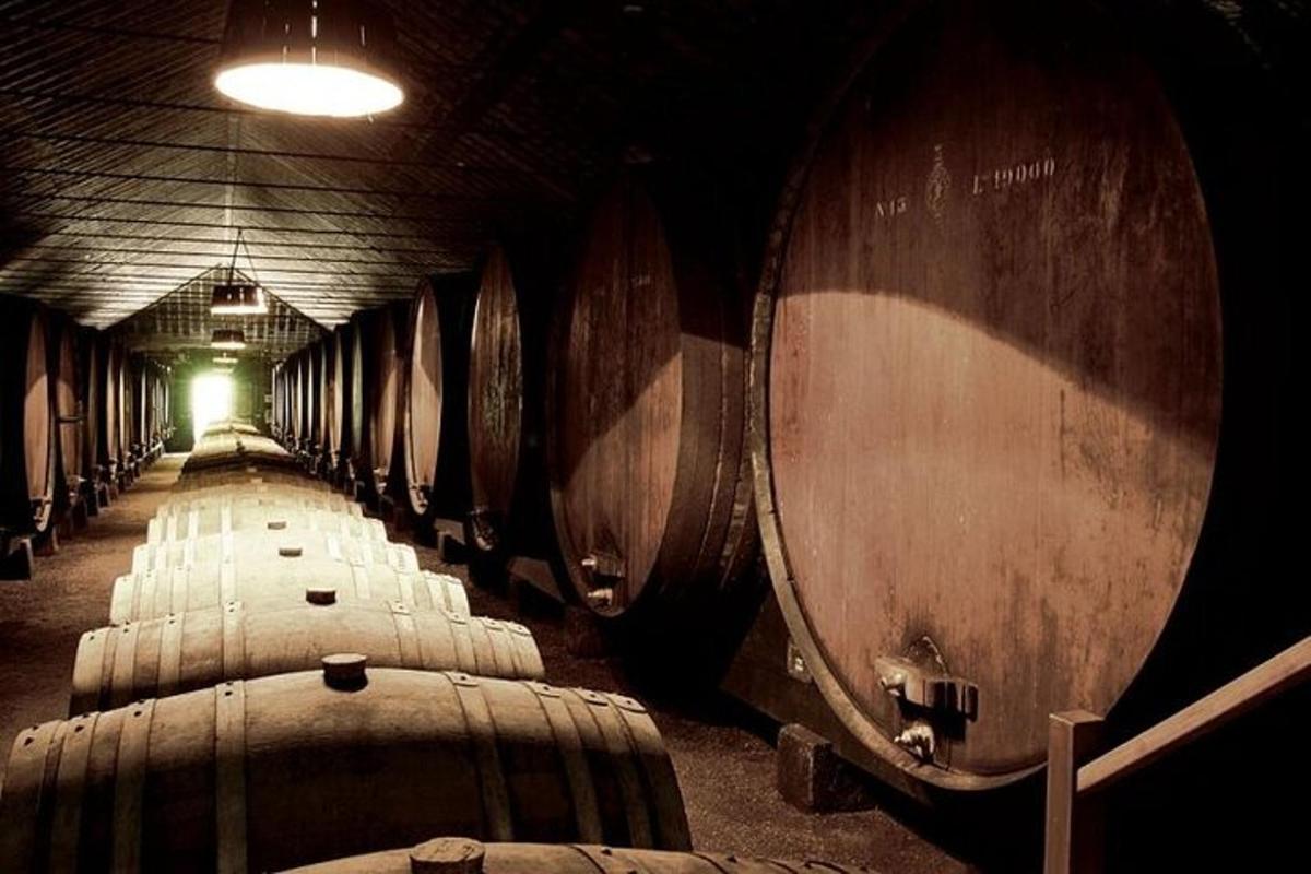 una fila di botti di vino in una cantina buia