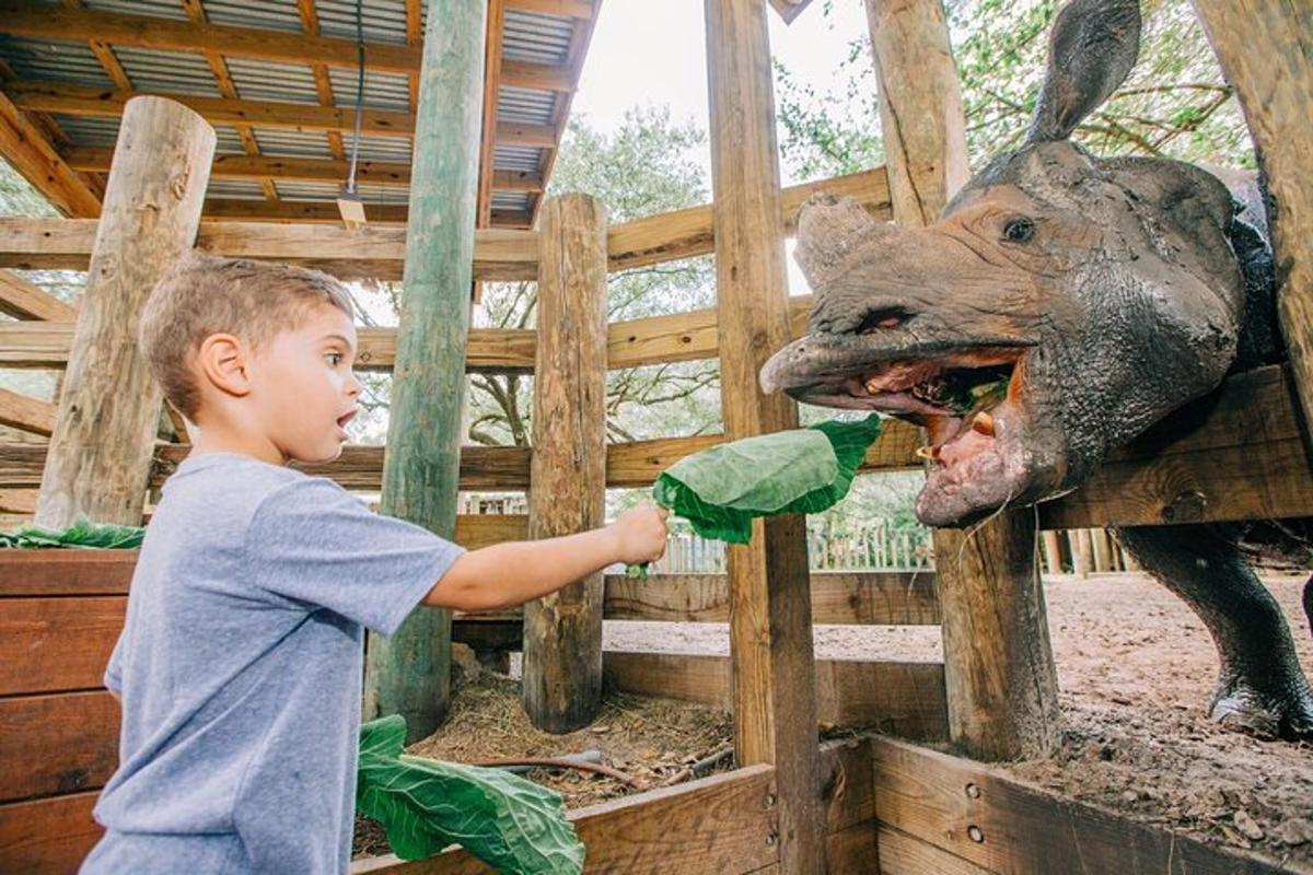 a young boy is feeding a stuffed dinosaur