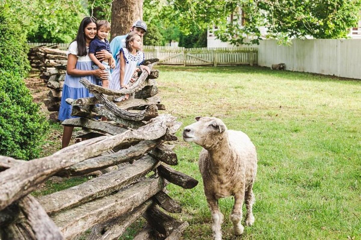 Turistik nokta fotoğrafı 5