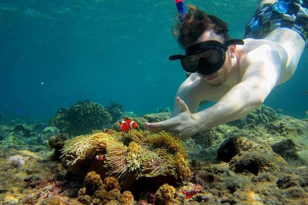 moški v oceanu gleda koralni greben
