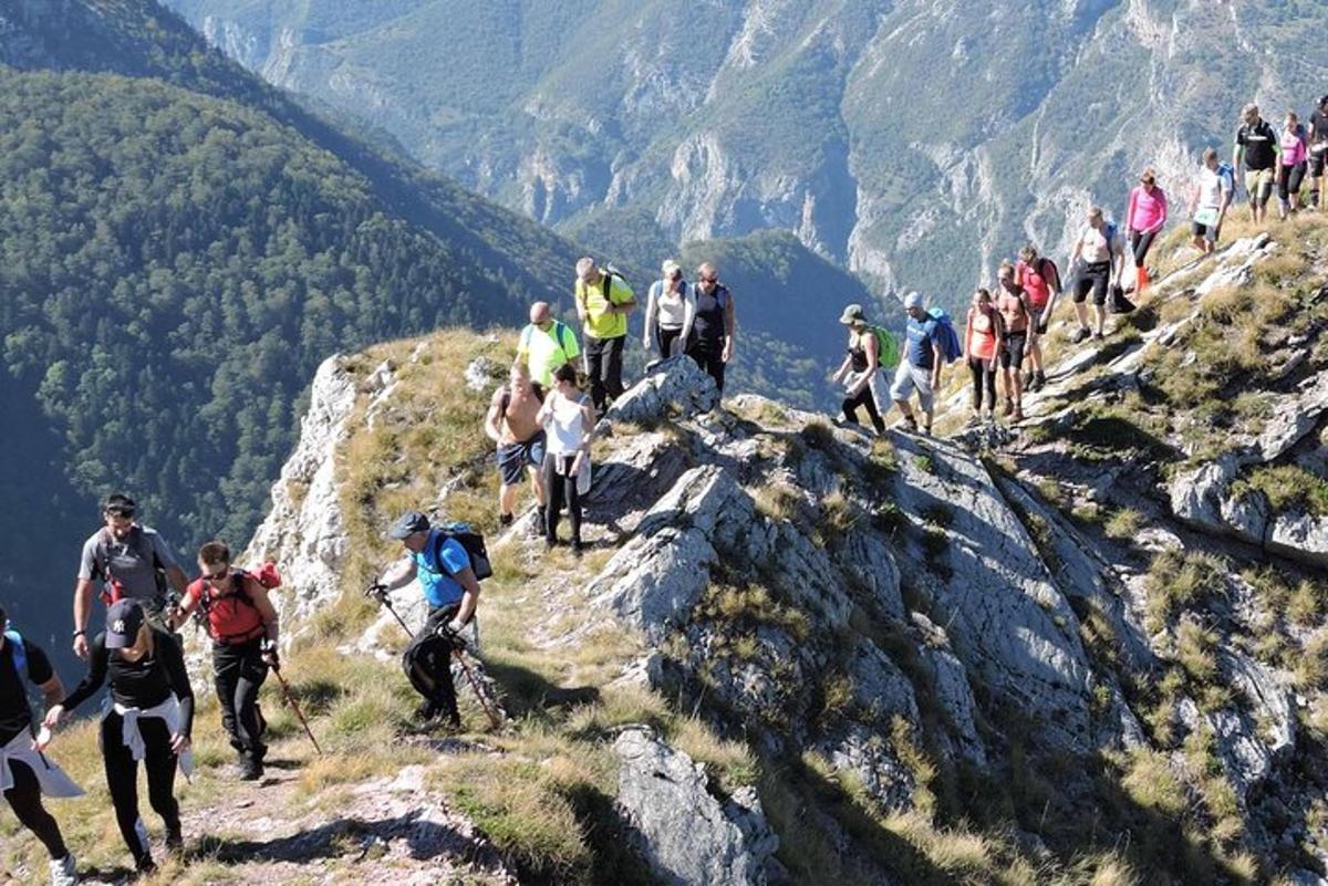 a group of people walking on the side of a mountain