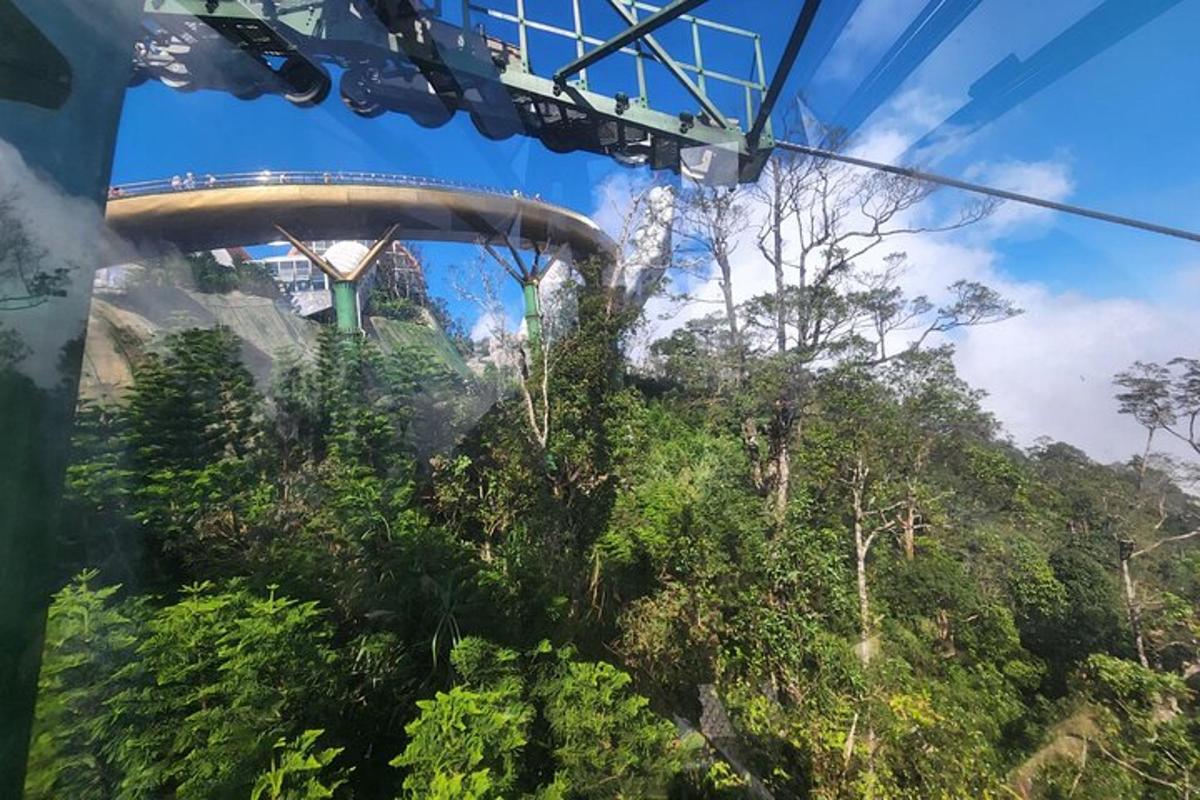 a view from a gondola ride in the sky