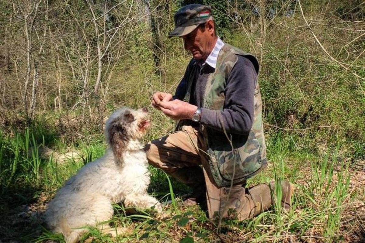 un uomo con un gilet che accarezza un cane in un campo