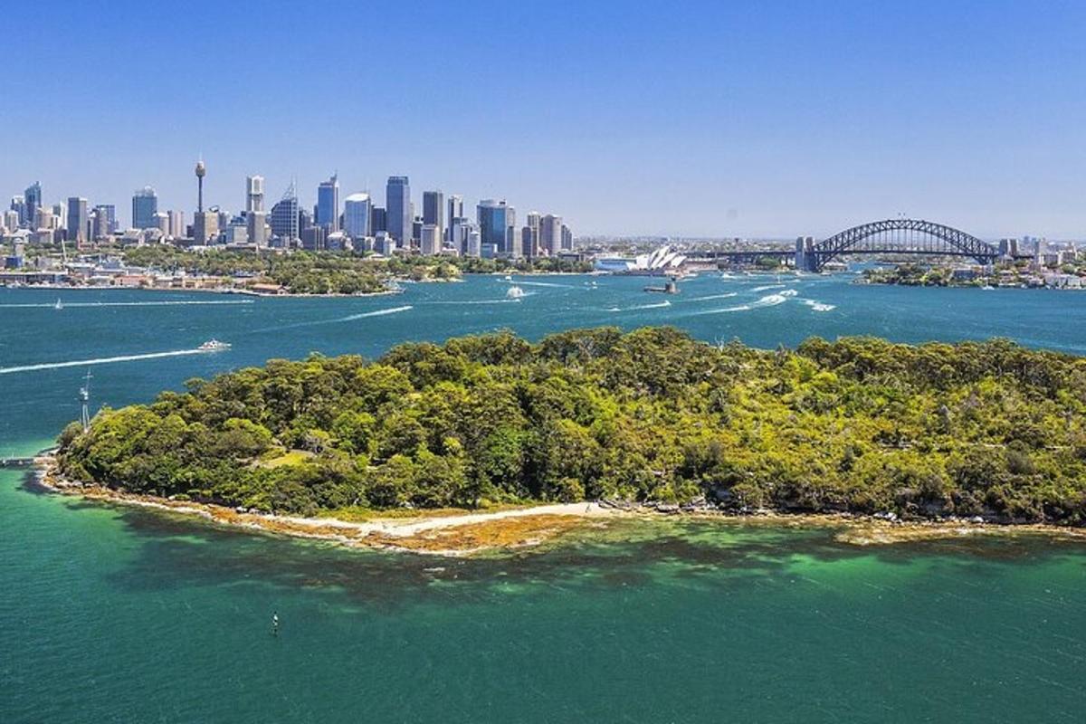 un'isola nell'acqua con una città sullo sfondo