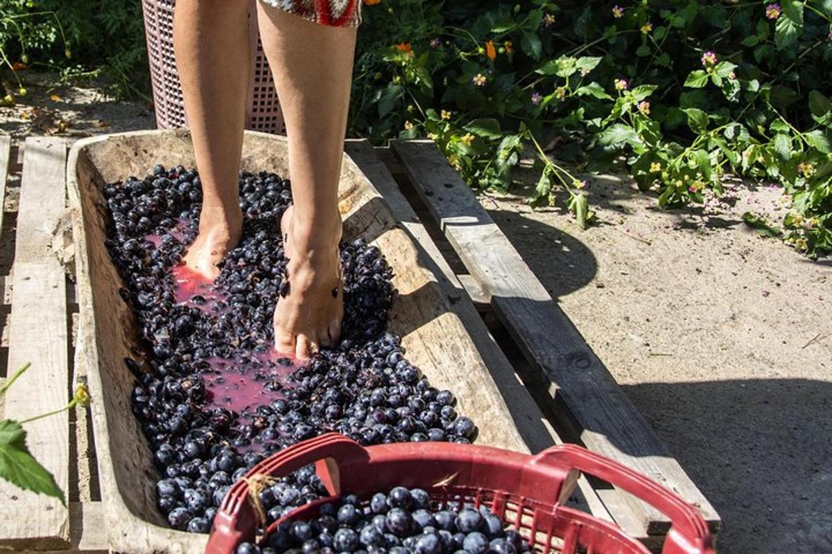 oseba, ki stoji v košu grozdja